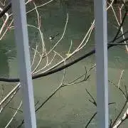 TAKESHIの画像