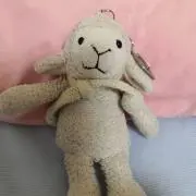 catherinepigの画像