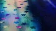 雨音の画像