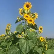 断捨離中の画像