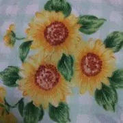 ✣星屑✣
