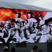 s.m.k.の画像