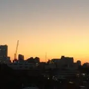 dickの画像