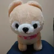 さすけの画像