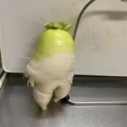 こが