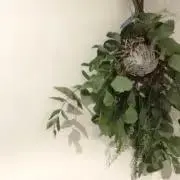 bebeの画像