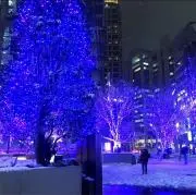 らっこの画像