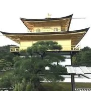 レイレイの画像