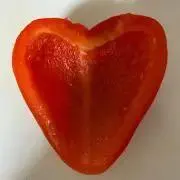 ぱぷぅーりか