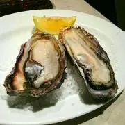 はしるカメ‼