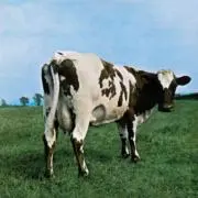 0655の画像
