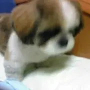 ⭐︎ふんふん⭐︎の画像