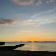 PRNSの画像