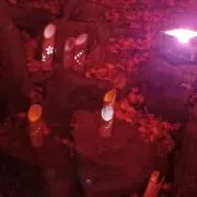 メロの画像