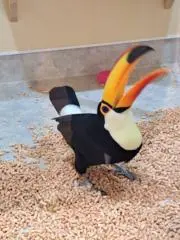 なーわーの画像