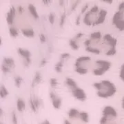 きなこ