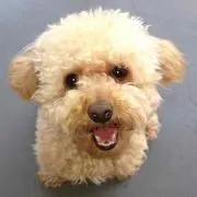KEN