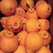 10@の画像