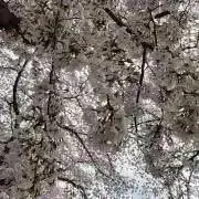 monchyの画像