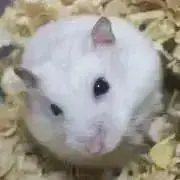 たっちィの画像