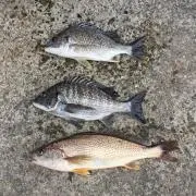 蔵の神