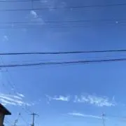 あられの画像