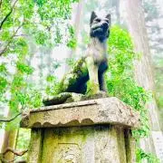 あーちゃんの画像