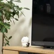あーる。の画像