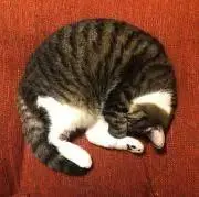 みい