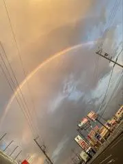 ハミ