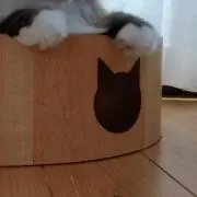 ほっさんの画像