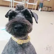 Yoseiの画像