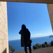 Mocaの画像