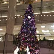 りり