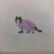 ʕ•ᴥ•ʔ かまぽこ。プロフご覧くださいの画像