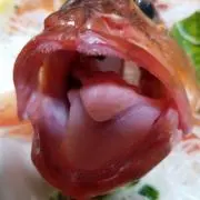 サルーン