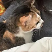 27の画像