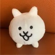 kaz3の画像