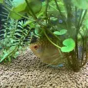 るん&ちっち