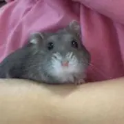 はむかつ※プロフお読みください^^