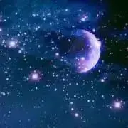 ウォルの画像