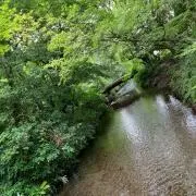 Mの画像