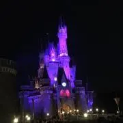 ⭐*︎様 キムジウォン　セルカ✨サイン入り✨ ⭐*︎様 キムジウォン セルカ✨サイン入り✨ - メルカリ