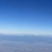 ハチワレ