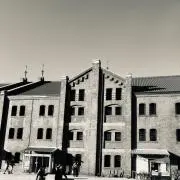 ひらめの画像