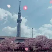 maaaaの画像