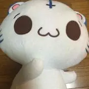 みずき