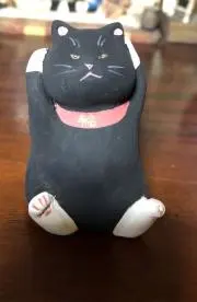 キャットの画像