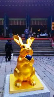 けろろの画像