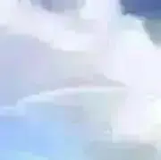 Leezの画像